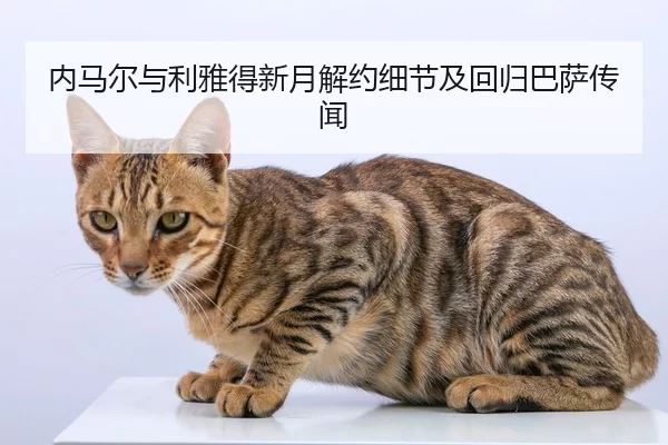 内马尔与利雅得新月解约细节及回归巴萨传闻