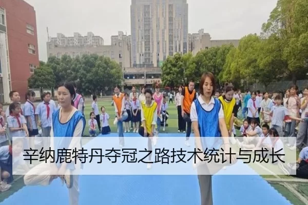 辛纳鹿特丹夺冠之路技术统计与成长
