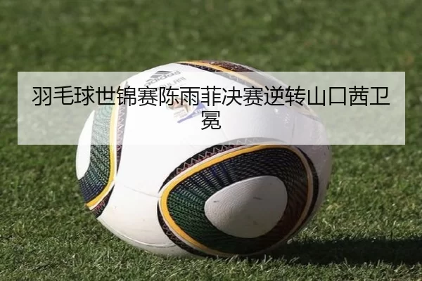 羽毛球世锦赛陈雨菲决赛逆转山口茜卫冕