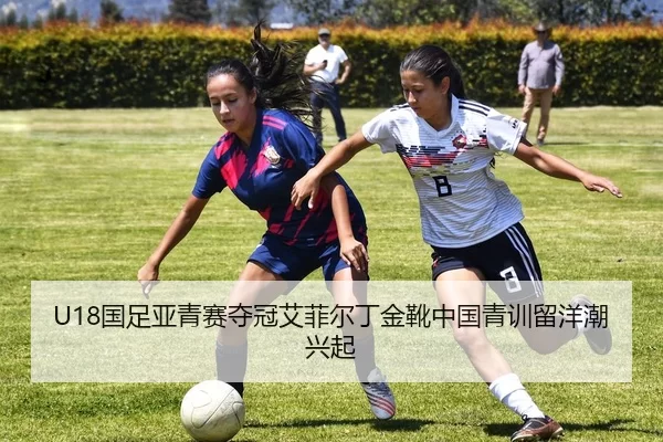 guo-zu-ya-qing-sai-duo-guan-ai-fei-er-ding-jin-xue-zhong-guo-qing-xun-liu-yang-chao-xing-qi-3-157.jpg